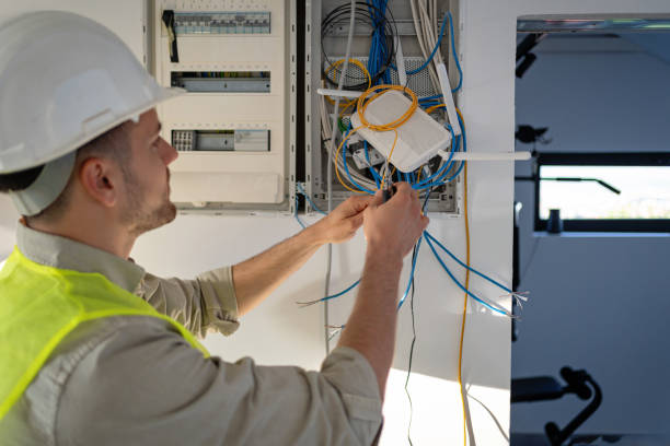 Best Electric Panel Repair  in Lochearn, MD